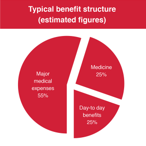 Typical Benefit Structure